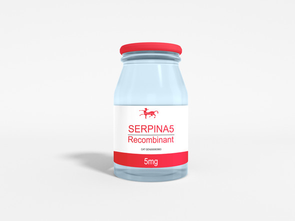 SERPINA5 Recombinant
