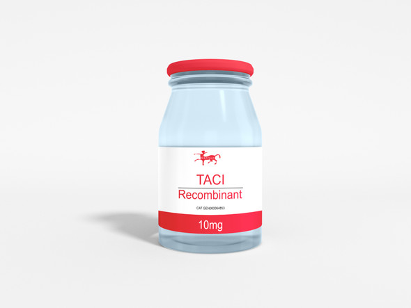 TACI Recombinant TACI Recombinant