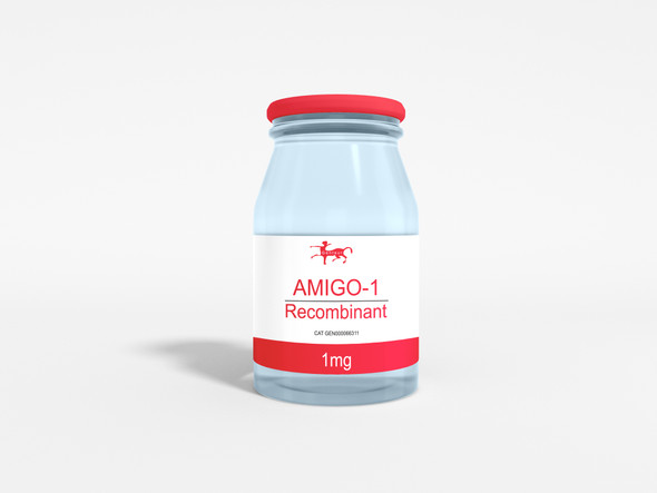AMIGO-1 Recombinant