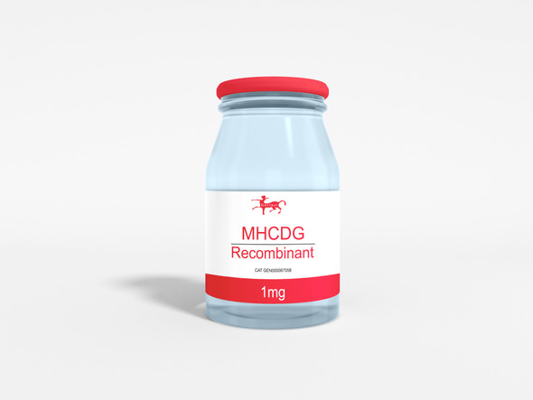 MHCDG Recombinant