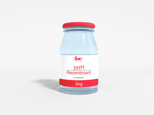 yyzH Recombinant