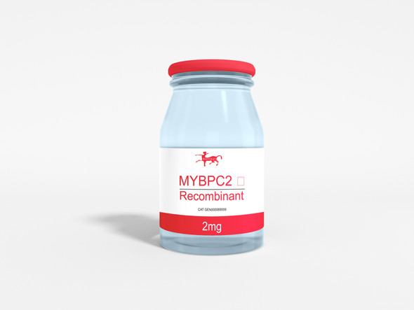 MYBPC2  Recombinant