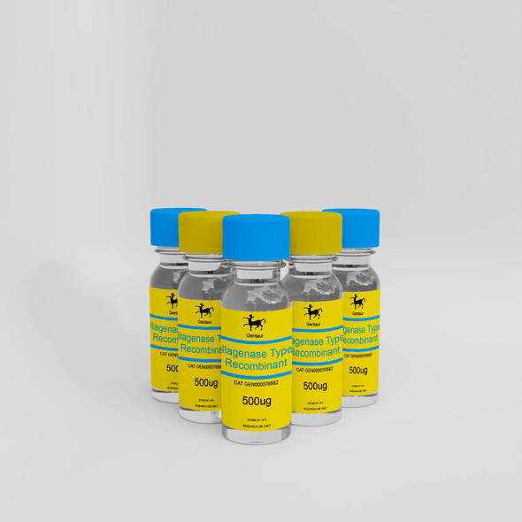 Collagenase Type II Recombinant