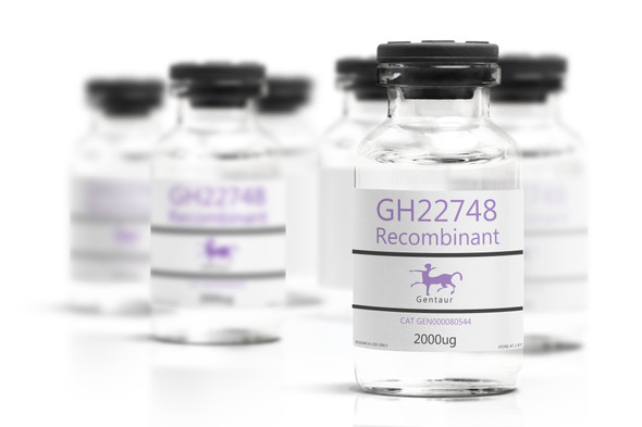 GH22748 Recombinant