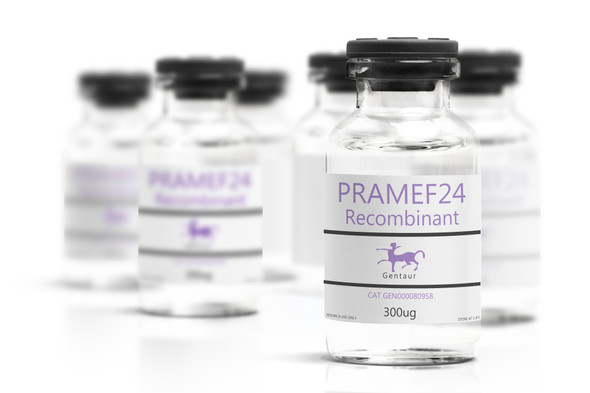 PRAMEF24 Recombinant