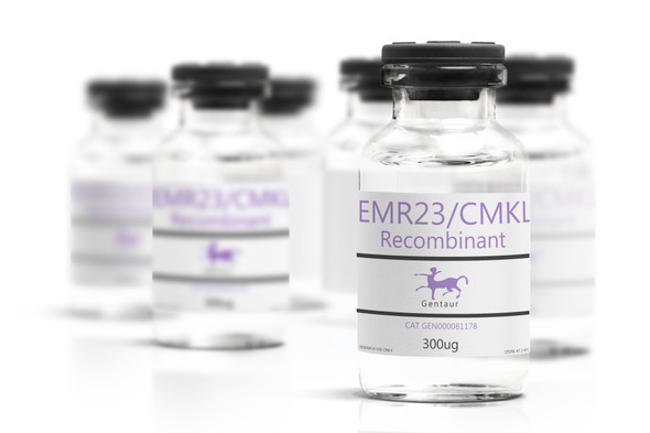 CHEMR23/CMKLR1 Recombinant