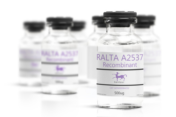 RALTA_A2537 Recombinant