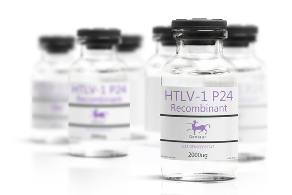 HTLV-1 P24 Recombinant