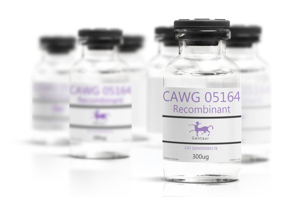 CAWG_05164 Recombinant