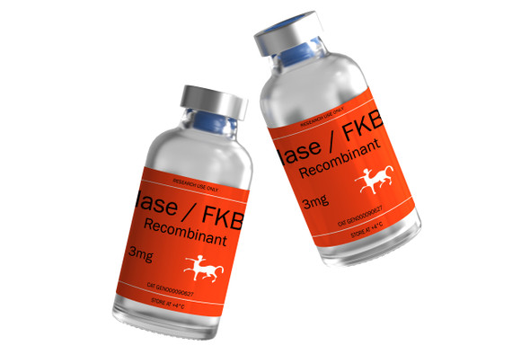 PPIase / FKBP7 Recombinant