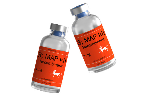 MAPK2/3; MAP kinase 2/3 Recombinant