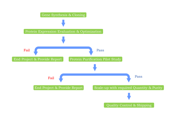 YBR071W Recombinant
