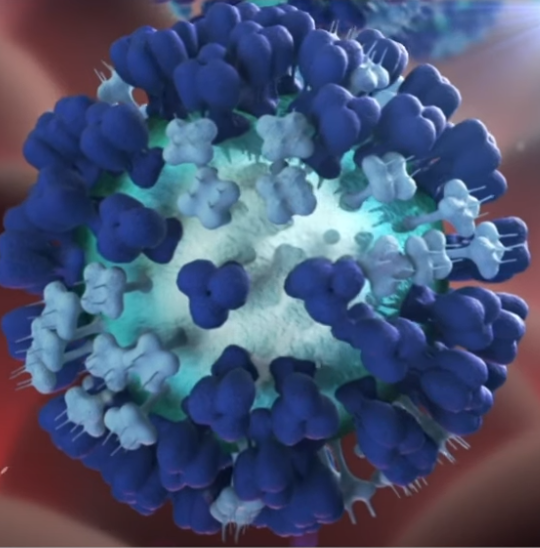 Human Recombinant Alpha Synuclein Protein, conj.: ATTO 594 (Type 1) - 100 ug