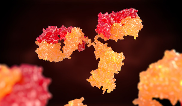 LRBA Polyclonal Antibody, Biotin Conjugated