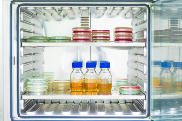 Modified Shieh Agar (LMG Medium 215) 500G