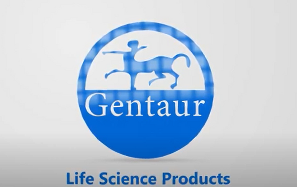 Panbio Dengue Capture IgM Capture | 0173-1PE20