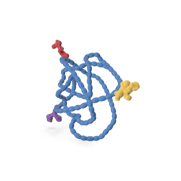 Vancomycin Synthetic Protein