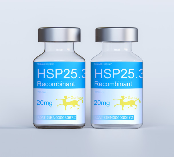 HSP25.3 Recombinant