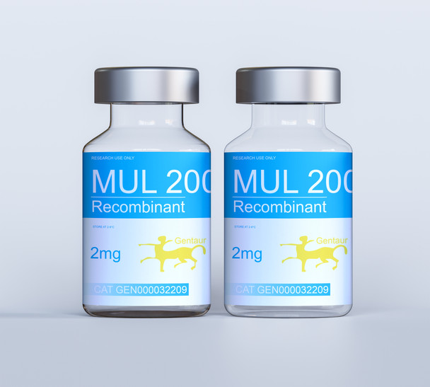 MUL_2009 Recombinant