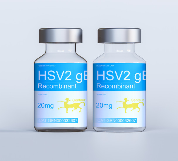 HSV2 gE Recombinant