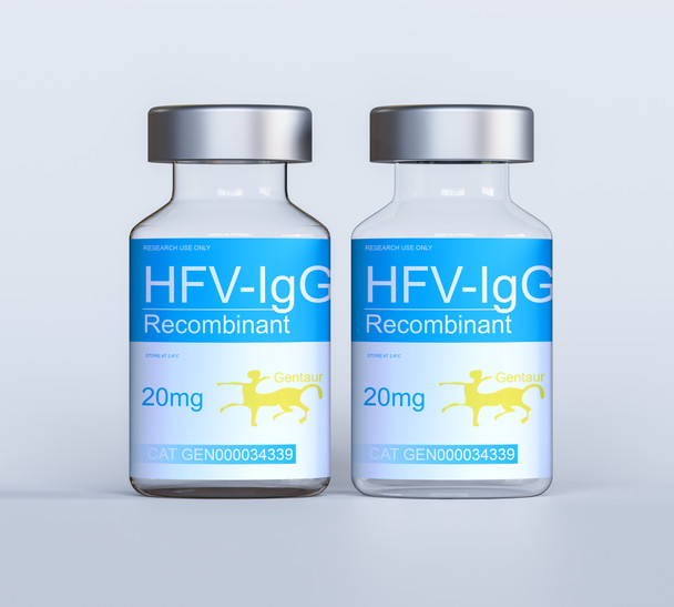 HFV-IgG Recombinant