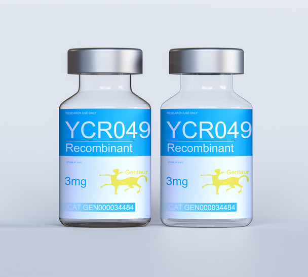 YCR049C Recombinant