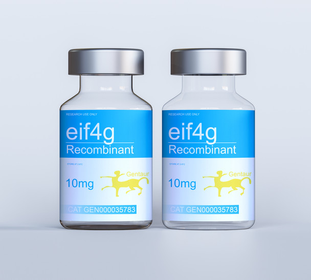 eif4g Recombinant eif4g Recombinant