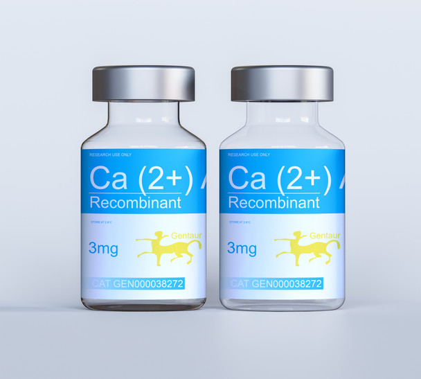 Ca (2+) ATPase Recombinant