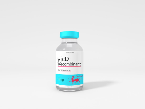yjcD Recombinant