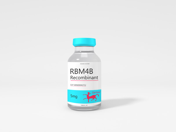 RBM4B Recombinant