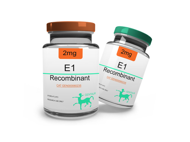 E1 Recombinant