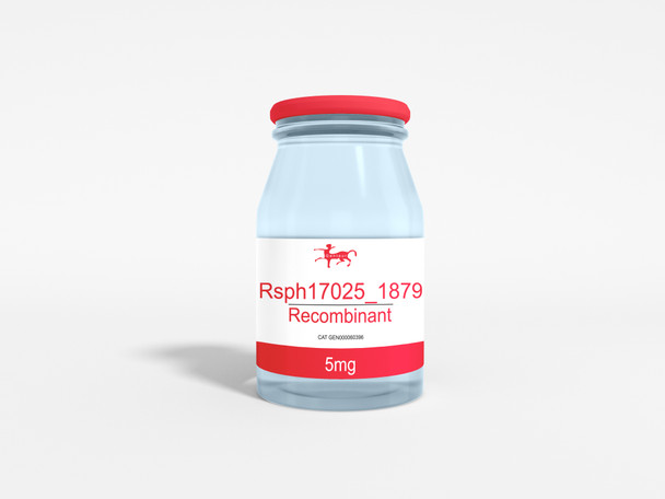 Rsph17025_1879 Recombinant