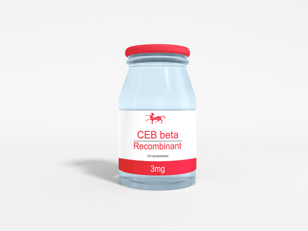 CEB beta Recombinant