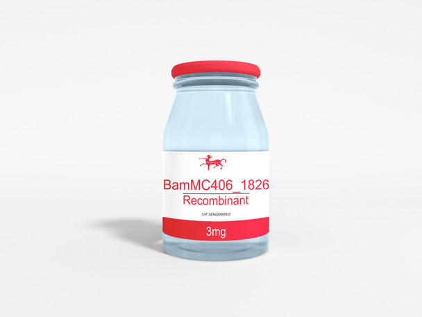 BamMC406_1826 Recombinant