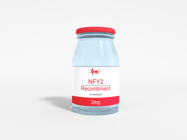 NFY2 Recombinant