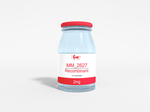 MM_2627 Recombinant