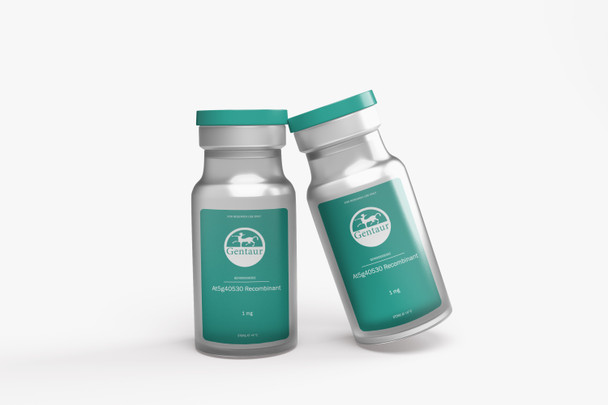 At5g40530 Recombinant