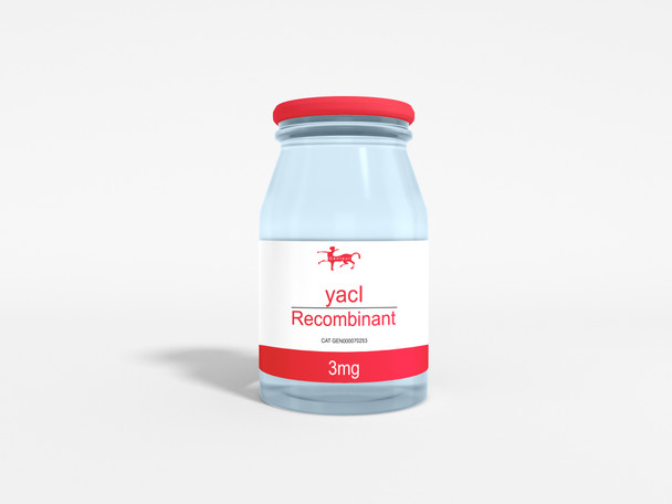 yacI Recombinant