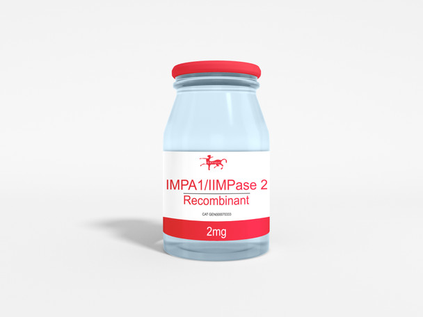 IMPA1/IIMPase 2 Recombinant