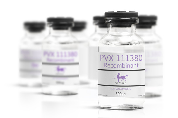 PVX_111380 Recombinant