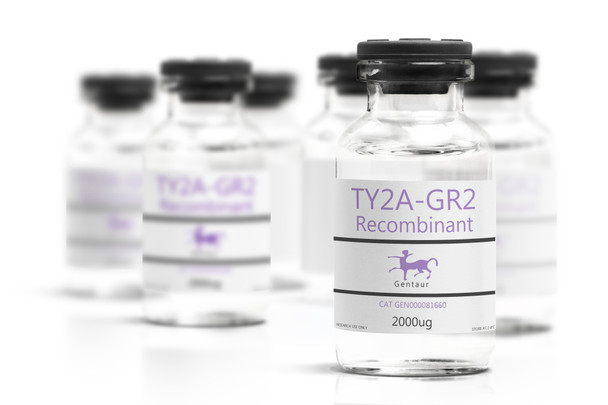 TY2A-GR2 Recombinant
