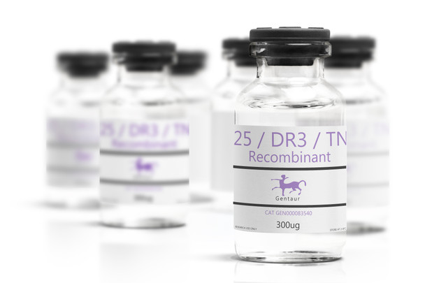 TNFRSF25 / DR3 / TNFRSF12 Recombinant