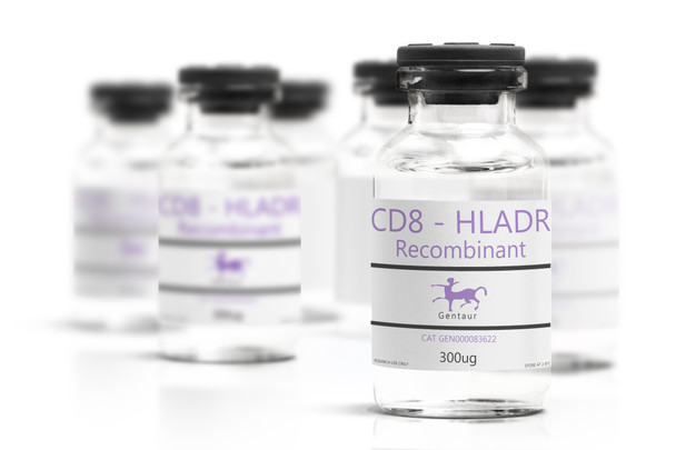 CD8 - HLADR Recombinant