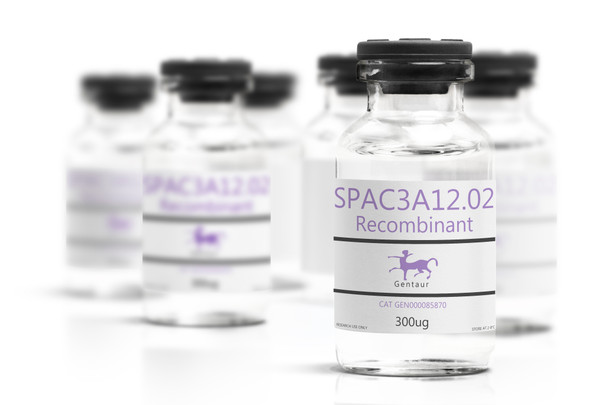 SPAC3A12.02 Recombinant
