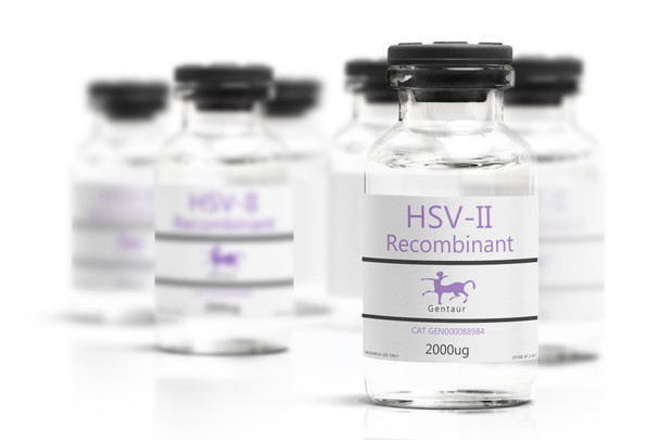 HSV-II Recombinant