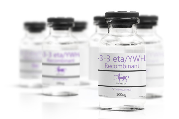 14-3-3 eta/YWHAH Recombinant