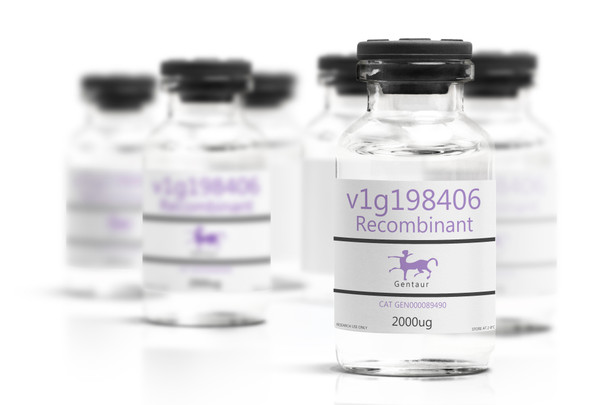 v1g198406 Recombinant