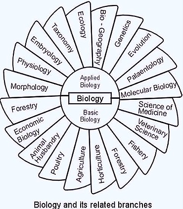 branchesof-biology-thumb-22-.jpg