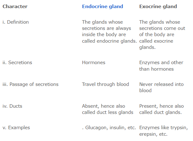 comparaison-of-glands-types.png