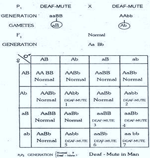 complementarygenes-thumb.jpg